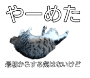 845207072