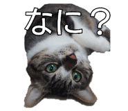 845207079