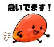 845207280