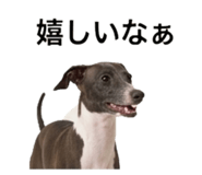 845207696