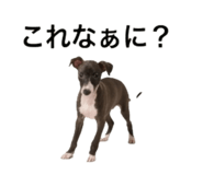 845207697