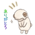 845209029