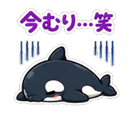 845209063