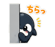 845209064