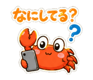 845209586
