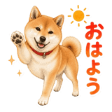 845209971