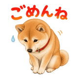 845209973