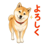 845209981