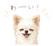 845211098