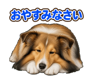 845211125