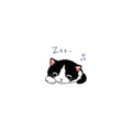 845211165