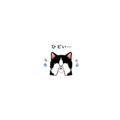 845211180