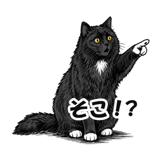 845212144