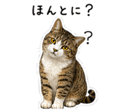 845212382