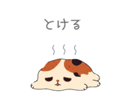 845212694
