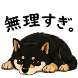 845213424