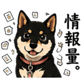 845213425