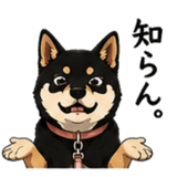 845213427