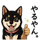 845213429