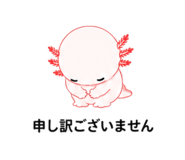 845216553