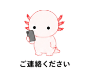 845216556