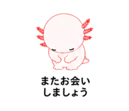 845216565