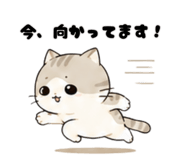 845216581