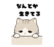 845216591