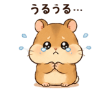 845216727