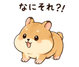 845216736