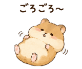 845216755