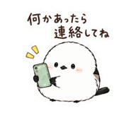 845217253