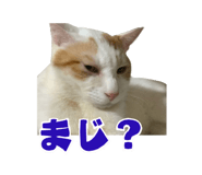 845217553