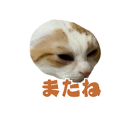 845217558
