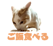 845217560