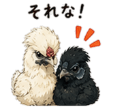 845217604