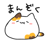 845218284