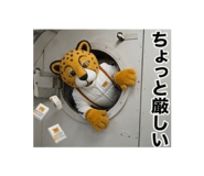 845218409