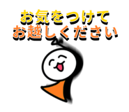 845219177