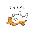 845219352