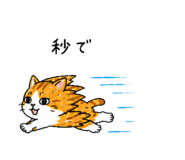845219372