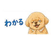 845219984