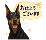 845220049