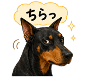 845220078