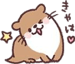 845220117