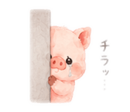 845220492