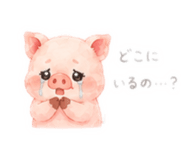 845220502