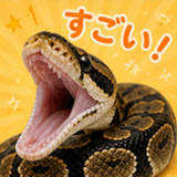 845220521