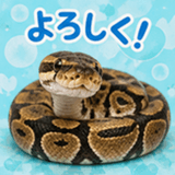 845220535