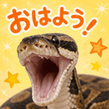 845220543